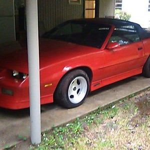 Meet your Posher, Tally